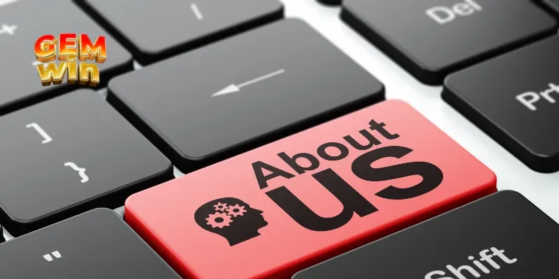 Giới thiệu tổng quan về chúng tôi